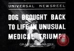 Image of Scottish Terrier New York City USA, 1936, second 1 stock footage video 65675041299