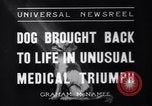 Image of Scottish Terrier New York City USA, 1936, second 9 stock footage video 65675041299