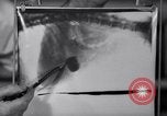 Image of Scottish Terrier New York City USA, 1936, second 20 stock footage video 65675041299
