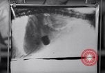 Image of Scottish Terrier New York City USA, 1936, second 21 stock footage video 65675041299