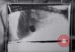 Image of Scottish Terrier New York City USA, 1936, second 22 stock footage video 65675041299
