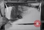 Image of Scottish Terrier New York City USA, 1936, second 24 stock footage video 65675041299