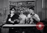 Image of Scottish Terrier New York City USA, 1936, second 32 stock footage video 65675041299