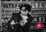 Image of Scottish Terrier New York City USA, 1936, second 44 stock footage video 65675041299