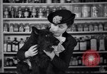 Image of Scottish Terrier New York City USA, 1936, second 45 stock footage video 65675041299