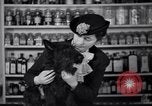 Image of Scottish Terrier New York City USA, 1936, second 46 stock footage video 65675041299