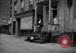Image of Scottish Terrier New York City USA, 1936, second 50 stock footage video 65675041299