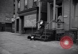 Image of Scottish Terrier New York City USA, 1936, second 51 stock footage video 65675041299