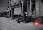 Image of Scottish Terrier New York City USA, 1936, second 52 stock footage video 65675041299