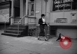Image of Scottish Terrier New York City USA, 1936, second 54 stock footage video 65675041299