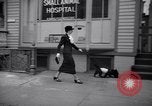 Image of Scottish Terrier New York City USA, 1936, second 55 stock footage video 65675041299