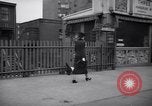 Image of Scottish Terrier New York City USA, 1936, second 60 stock footage video 65675041299