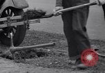Image of property owner New York City USA, 1936, second 19 stock footage video 65675041300