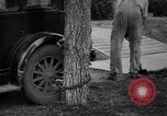 Image of property owner New York City USA, 1936, second 21 stock footage video 65675041300