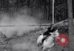 Standbild Horse Show Atlanta Georgia USA, 1936, aus Sekunde 44 historischem Filmmaterial Videoclip 65675041304
