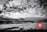 Standbild Apple Blossom Pageant Wenatchee Washington USA, 1936, aus Sekunde 59 historischem Filmmaterial Videoclip 65675041306