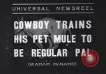 Standbild Pet mule Maricopa County Arizona USA, 1936, aus Sekunde 1 historischem Filmmaterial Videoclip 65675041307