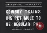 Standbild Pet mule Maricopa County Arizona USA, 1936, aus Sekunde 3 historischem Filmmaterial Videoclip 65675041307