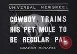 Standbild Pet mule Maricopa County Arizona USA, 1936, aus Sekunde 5 historischem Filmmaterial Videoclip 65675041307