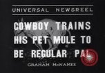 Standbild Pet mule Maricopa County Arizona USA, 1936, aus Sekunde 6 historischem Filmmaterial Videoclip 65675041307
