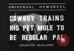 Standbild Pet mule Maricopa County Arizona USA, 1936, aus Sekunde 7 historischem Filmmaterial Videoclip 65675041307