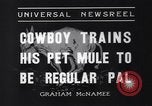 Standbild Pet mule Maricopa County Arizona USA, 1936, aus Sekunde 8 historischem Filmmaterial Videoclip 65675041307