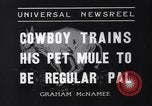 Standbild Pet mule Maricopa County Arizona USA, 1936, aus Sekunde 9 historischem Filmmaterial Videoclip 65675041307