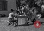 Standbild Pet mule Maricopa County Arizona USA, 1936, aus Sekunde 10 historischem Filmmaterial Videoclip 65675041307