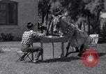 Standbild Pet mule Maricopa County Arizona USA, 1936, aus Sekunde 12 historischem Filmmaterial Videoclip 65675041307