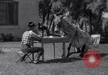 Standbild Pet mule Maricopa County Arizona USA, 1936, aus Sekunde 13 historischem Filmmaterial Videoclip 65675041307