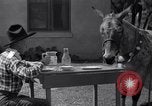 Standbild Pet mule Maricopa County Arizona USA, 1936, aus Sekunde 14 historischem Filmmaterial Videoclip 65675041307