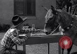 Standbild Pet mule Maricopa County Arizona USA, 1936, aus Sekunde 16 historischem Filmmaterial Videoclip 65675041307