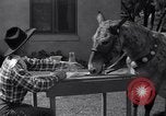 Standbild Pet mule Maricopa County Arizona USA, 1936, aus Sekunde 17 historischem Filmmaterial Videoclip 65675041307