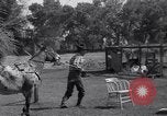 Standbild Pet mule Maricopa County Arizona USA, 1936, aus Sekunde 25 historischem Filmmaterial Videoclip 65675041307