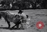 Standbild Pet mule Maricopa County Arizona USA, 1936, aus Sekunde 28 historischem Filmmaterial Videoclip 65675041307