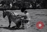 Standbild Pet mule Maricopa County Arizona USA, 1936, aus Sekunde 34 historischem Filmmaterial Videoclip 65675041307