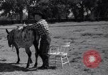 Standbild Pet mule Maricopa County Arizona USA, 1936, aus Sekunde 36 historischem Filmmaterial Videoclip 65675041307