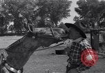 Standbild Pet mule Maricopa County Arizona USA, 1936, aus Sekunde 37 historischem Filmmaterial Videoclip 65675041307