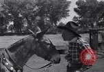 Standbild Pet mule Maricopa County Arizona USA, 1936, aus Sekunde 38 historischem Filmmaterial Videoclip 65675041307