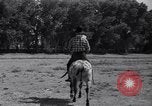 Standbild Pet mule Maricopa County Arizona USA, 1936, aus Sekunde 42 historischem Filmmaterial Videoclip 65675041307