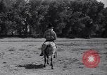 Standbild Pet mule Maricopa County Arizona USA, 1936, aus Sekunde 43 historischem Filmmaterial Videoclip 65675041307