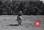 Standbild Pet mule Maricopa County Arizona USA, 1936, aus Sekunde 44 historischem Filmmaterial Videoclip 65675041307
