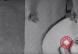 Image of Summer creations Paris France, 1967, second 52 stock footage video 65675041323