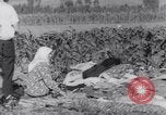 Standbild Erdbeben Türkei, 1967, aus Sekunde 33 historischem Filmmaterial Videoclip 65675041328