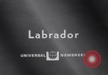 Standbild Kraftwerk Labrador Kanada, 1967, aus Sekunde 1 historischem Filmmaterial Videoclip 65675041330