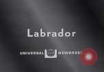 Standbild Kraftwerk Labrador Kanada, 1967, aus Sekunde 3 historischem Filmmaterial Videoclip 65675041330