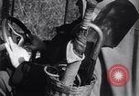 Immagine di Edward Hammond Auburndale United States USA, 1946, secondo 24 filmato di repertorio 65675041343