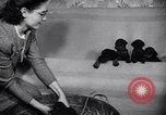 Standbild Dobermann Pinscher Vancouver British Columbia Kanada, 1947, aus Sekunde 6 historischem Filmmaterial Videoclip 65675041344