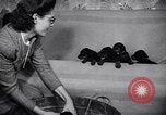 Standbild Dobermann Pinscher Vancouver British Columbia Kanada, 1947, aus Sekunde 10 historischem Filmmaterial Videoclip 65675041344