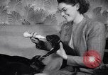 Standbild Dobermann Pinscher Vancouver British Columbia Kanada, 1947, aus Sekunde 40 historischem Filmmaterial Videoclip 65675041344